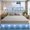 Nệm cao su than hoạt tính Kim Cương 5Zone Biolux