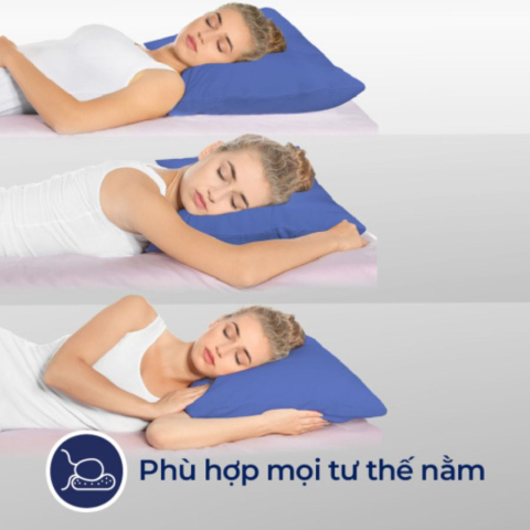 Gối cao su Liên Á Oval 45x65 - Ảnh 4