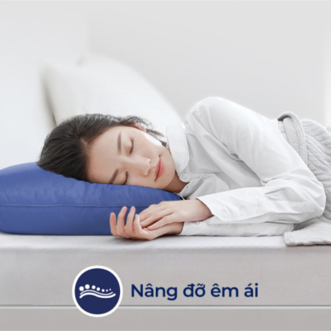 Gối cao su Liên Á Oval 45x65 - Ảnh 3