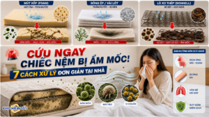 Cách chống ẩm cho nệm hiệu quả tại nhà, đơn giản ai cũng có thể áp dụng